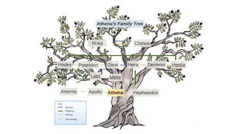 Athena Family Tree by Hannah Lu