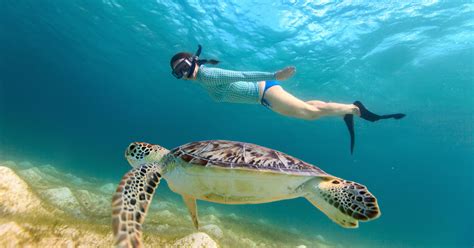 St Thomas Virgin Islands Snorkeling