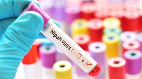 Nipah virus case rise in Kerala: Symptoms, prevention and treatment ...