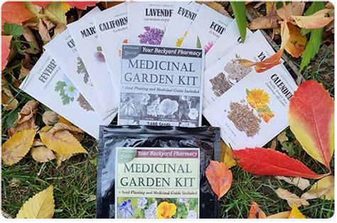 The Benefits of a Medicinal Garden: Why You Should Start Growing Your Own Herbs and Spices | by ...