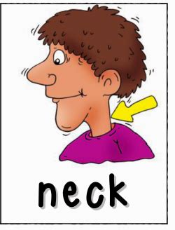 Neck clipart, Picture #15338 neck clipart