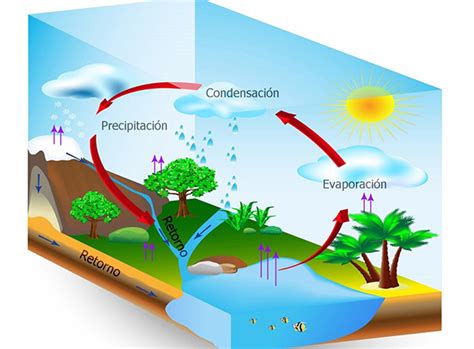 El Ciclo del Agua para Niños ⇒ 【Imágenes y Vídeos】 ️