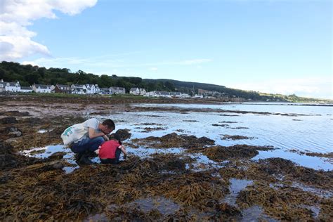 Seashore and Coastal Habitats - COAST