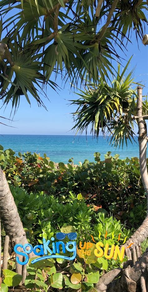 Deerfield Beach Boardwalk - All You Need to Know BEFORE You Go ...