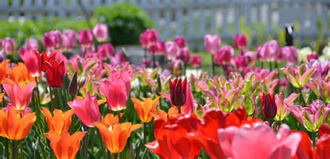 Maine's Premier Botanical Garden | Coastal Maine Botanical Gardens