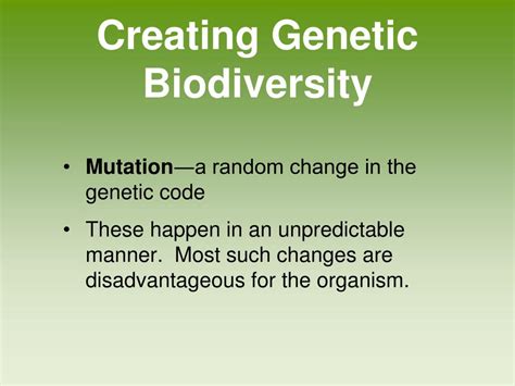 PPT - Chapter 5 Evolution of Biodiversity PowerPoint Presentation, free ...