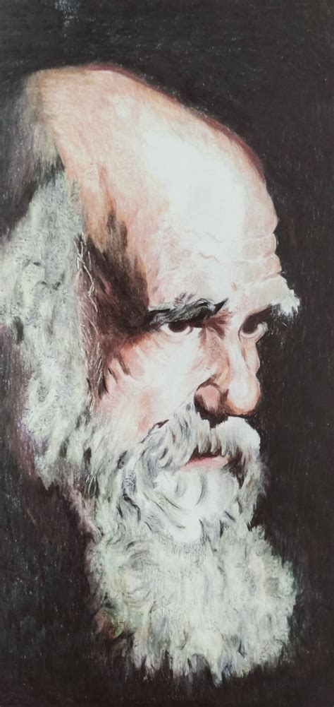 Dibujo realista de Darwin | Domestika