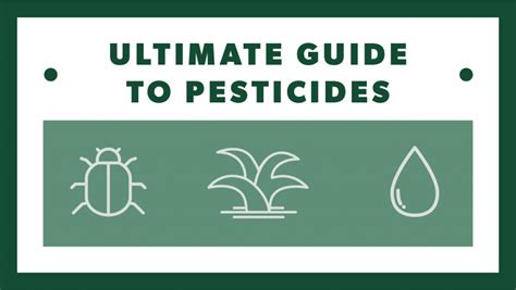 An Ultimate Guide to Pesticides | Pure Greens Container Farms