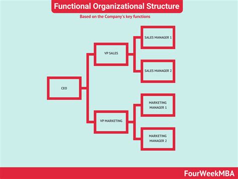 Organizational Structure Types
