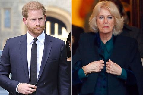 Prince Harry Explains Why He Worried Queen Camilla Was Dangerous