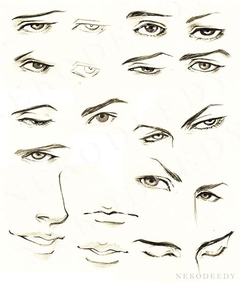 Male Eye Drawing at GetDrawings | Free download