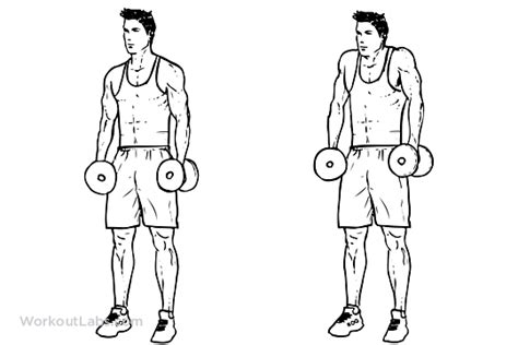 Build Massive Shoulders With This Dumbbell-Only Workout