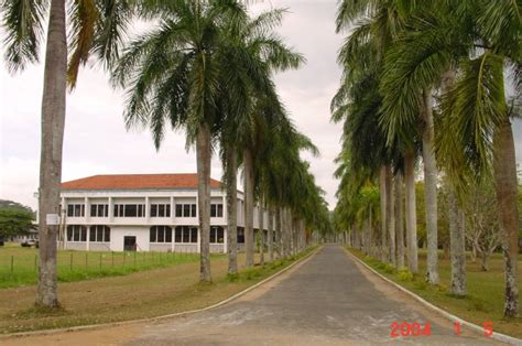 Images of Sri Lanka: University Of Peradeniya