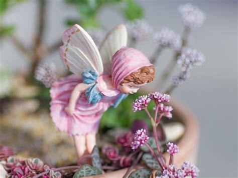 Succulent Fairy Garden Tutorial | DIY Succulent Fairy Garden | Fairy Garden Blog