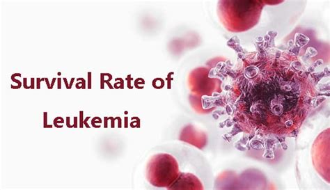 Survival Rate of Leukemia by Type, Age, and More – New Life Ticket