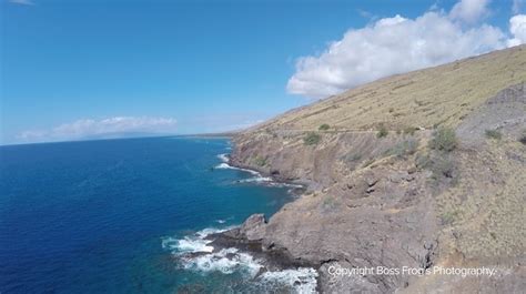 Coral Gardens Snorkel Guide | Boss Frog's Hawaii