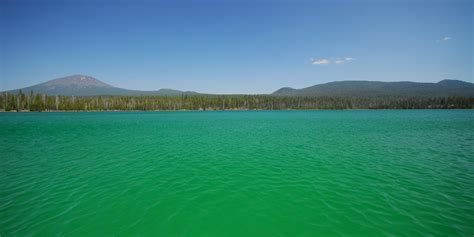 Little Lava Lake Campground - camping in Oregon