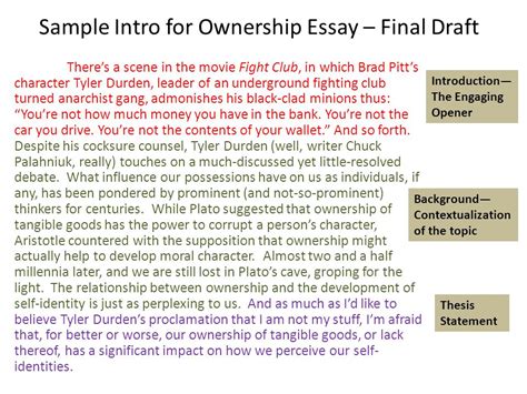 Essay First Draft Example – Telegraph