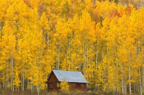 Crisp Autumn Days | Retreat, Fall foliage, Earth pictures