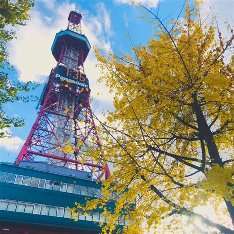 Sapporo TV Tower Observation Deck Ticket｜Japan | Miki Travel Asia