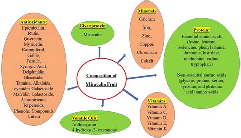 Composition of Synsepalum dulcificum. | Download Scientific Diagram