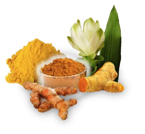 (Raw Turmeric) Kacchi Haldi Can Help Boost Your Immunity | Social Diary