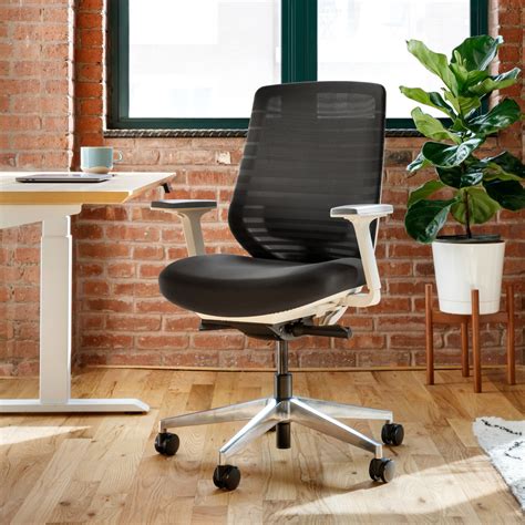 Ergonomic Chair | Office Ergonomic Chairs | Branch Office Furniture