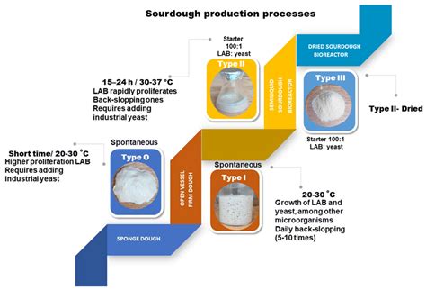 Fermentation | Free Full-Text | Probiotics in the Sourdough Bread Fermentation: Current Status