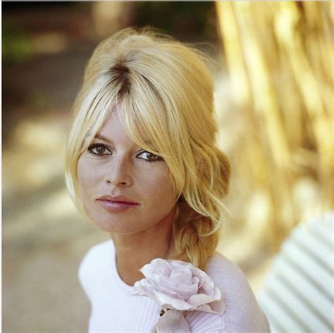 Bardot | Bardot hair, Brigitte bardot hair, Brigitte bardot