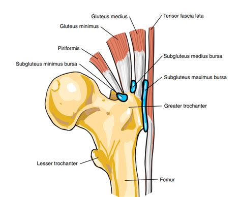 Trochanteric Bursa Injection: Ultrasound- Sports Medicine Review