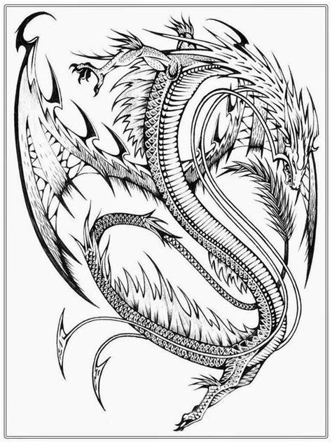 Realistic Lizard Coloring Pages at GetColorings.com | Free printable colorings pages to print ...