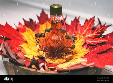 Sugar maple vermont tree hi-res stock photography and images - Alamy