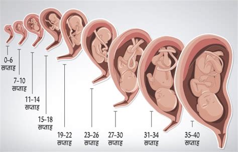 Symptoms Of Pregnancy First Month In Hindi