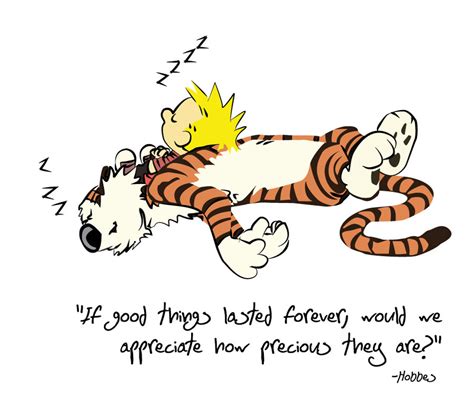 Calvin And Hobbes Quotes On Love. QuotesGram