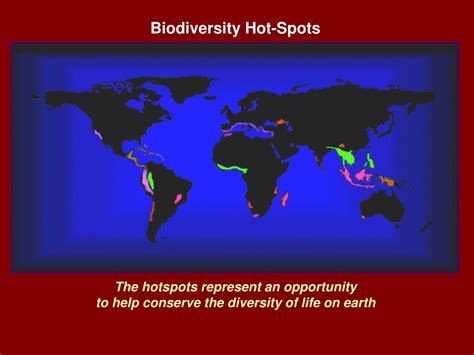 PPT - Biodiversity Hotspots PowerPoint Presentation, free download - ID ...