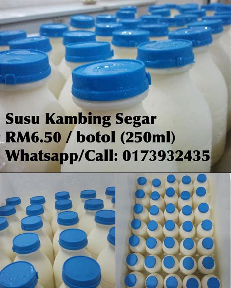 SUSU KAMBING SEGAR &... - Susu Kambing Segar Negeri Sembilan