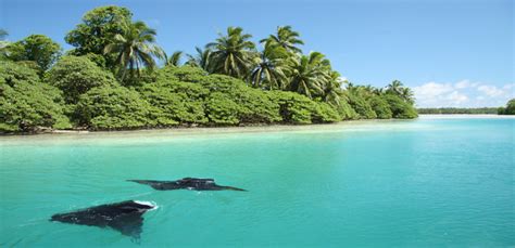 Island Conservation Palmyra Atoll - Island Conservation