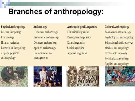 Anthropology 1010H | Biological anthropology, Branches of anthropology, Anthropology