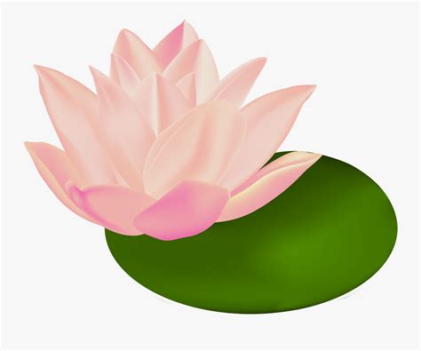 Lily Pads Clip Art , Free Transparent Clipart - ClipartKey