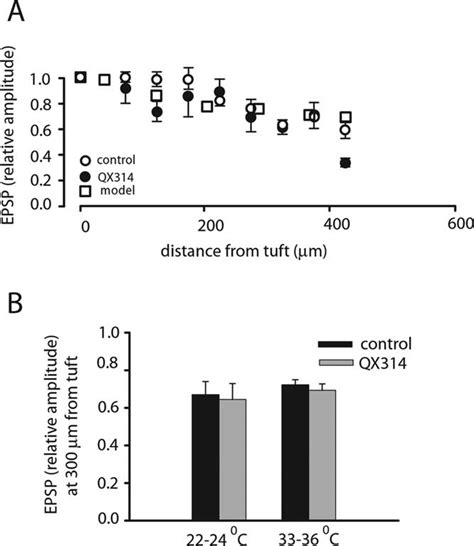 Attenuation of the EPSP along the primary dendrite. A, Relative EPSP ...