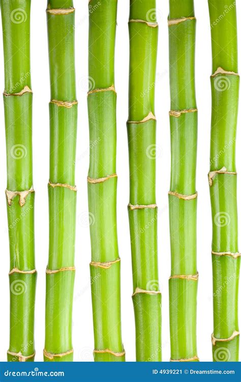 Bamboo Stems Stock Image - Image: 4939221