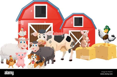 Farm animals in the barn illustration Stock Vector Image & Art - Alamy