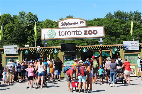 Toronto Event Industry News From Toronto Zoo, Toronto Outdoor Art Fair, Snipping for Hope, and ...