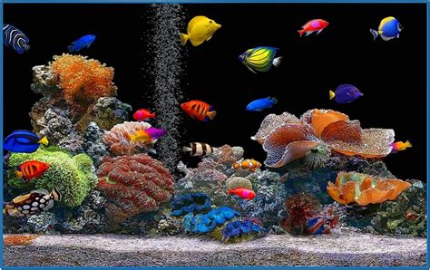 Download HD Screensavers Fish Tank - Free and Beautiful Screensaver