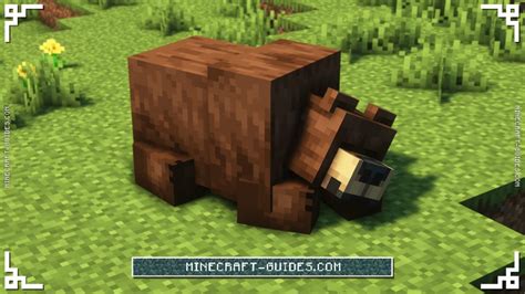 Minecraft: Naturalist Mod Guide & Download - Minecraft Guides Wiki