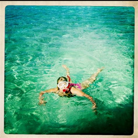 Snorkeling in Abaco | Under the sea, Adventure, Travel destinations