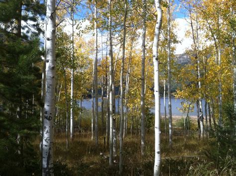 Pin by Brad Enman on Moon Lake, Utah | Lake, Utah, Places to go