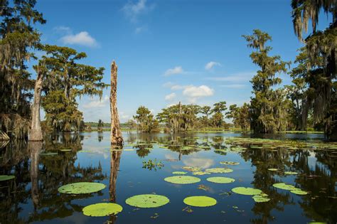 Cajun Country travel | Southern USA, USA - Lonely Planet