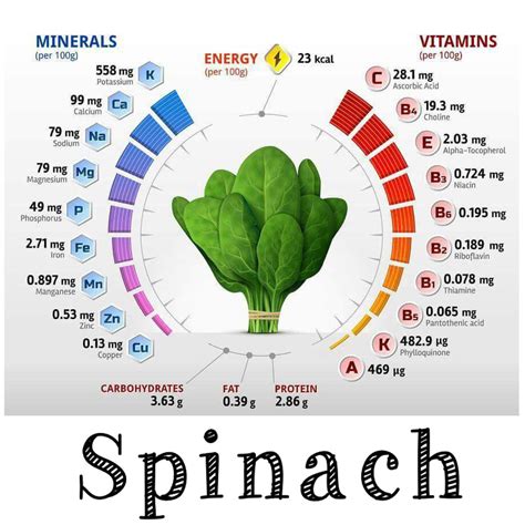 Spinach: vitamins, minerals, nutrition | Vitamins and minerals, Vitamins, Spinach vitamins