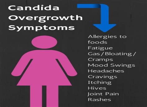 Candida Albicans – Symptoms and Treatment - Warm and Tote